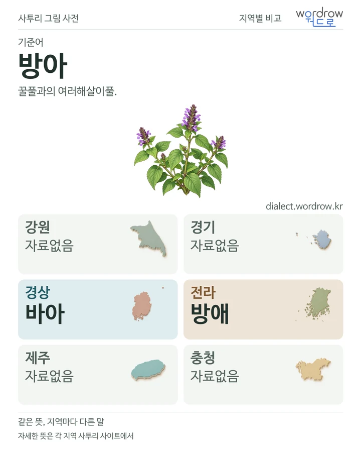 방아의 여섯 지역 사투리 비교