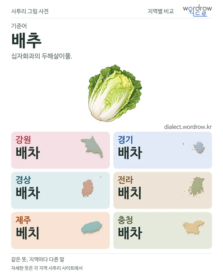 배추의 여섯 지역 사투리 비교