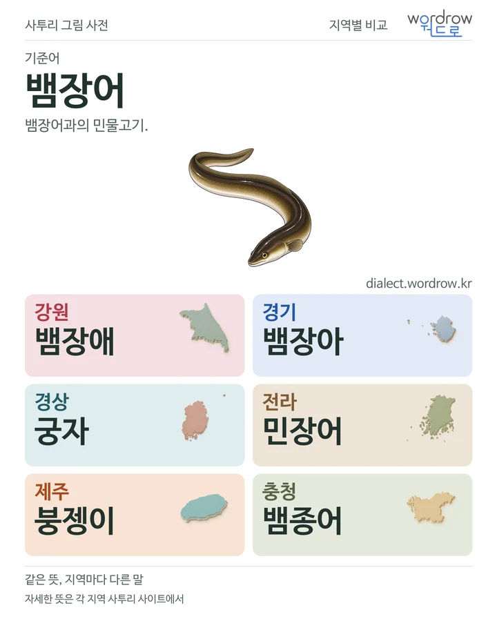 뱀장어의 여섯 지역 사투리 비교