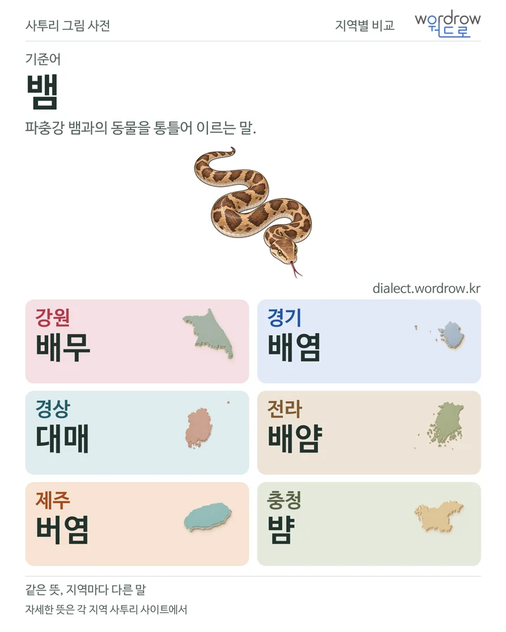 뱀의 여섯 지역 사투리 비교