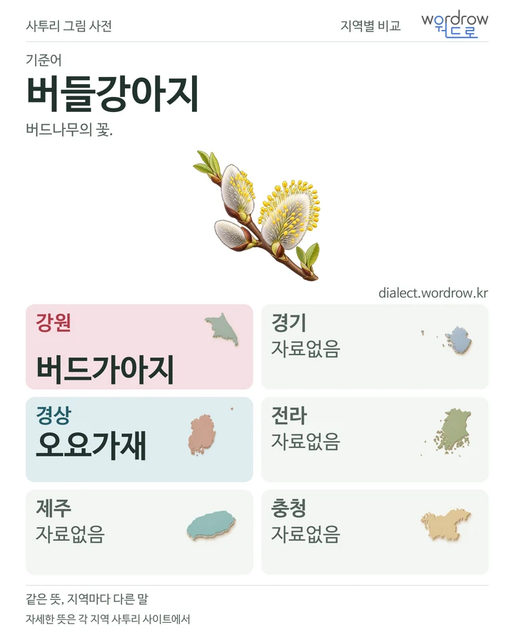 버들강아지의 여섯 지역 사투리 비교