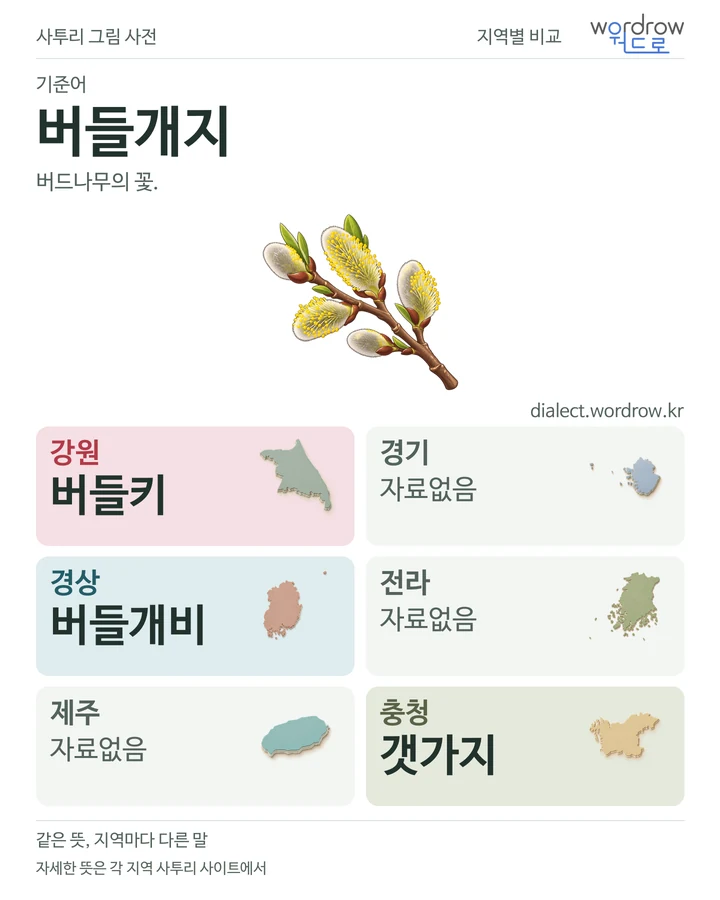 버들개지의 여섯 지역 사투리 비교