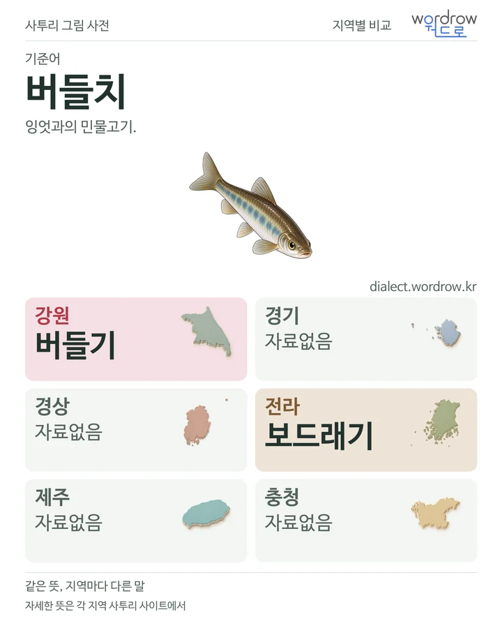 버들치의 여섯 지역 사투리 비교