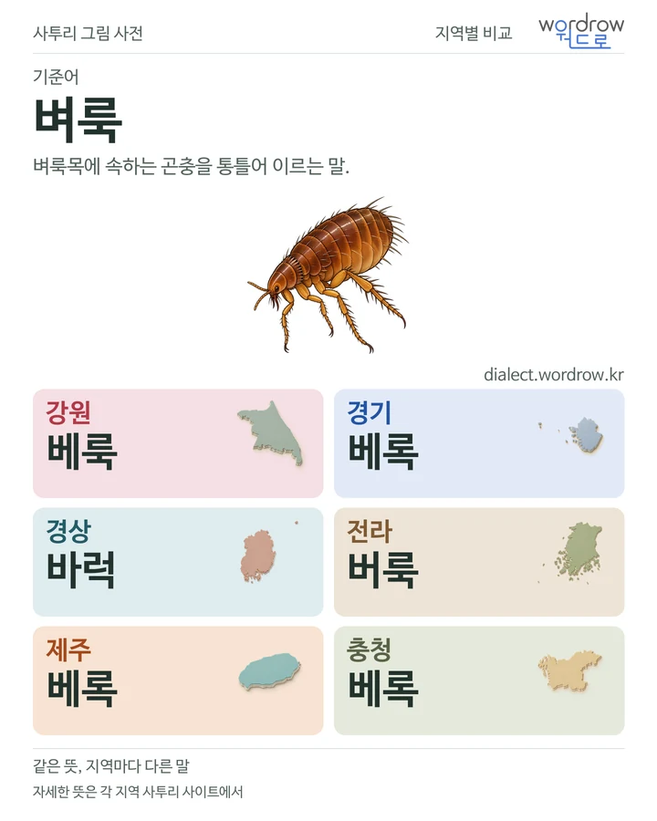 벼룩의 여섯 지역 사투리 비교