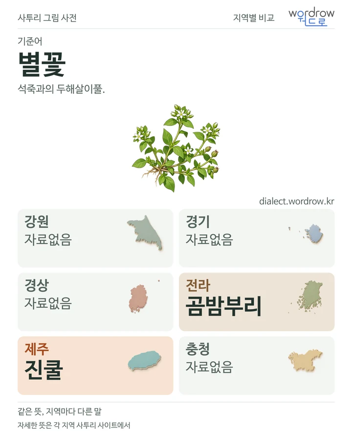 별꽃의 여섯 지역 사투리 비교
