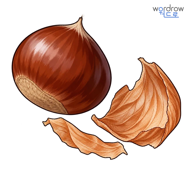 보늬 뜻그림