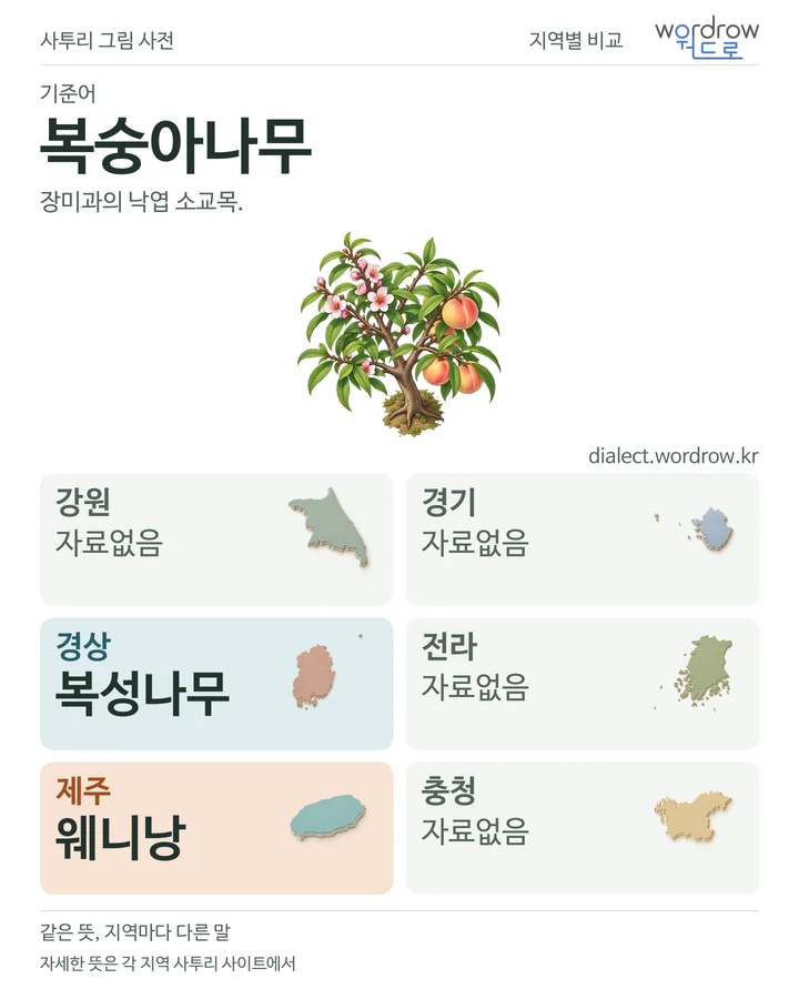 복숭아나무의 여섯 지역 사투리 비교