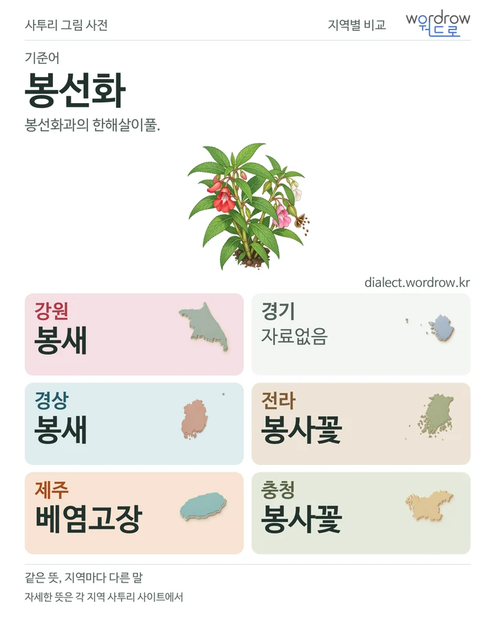 봉선화의 여섯 지역 사투리 비교