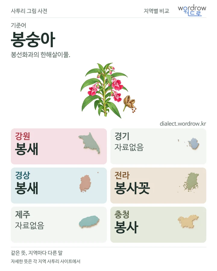 봉숭아의 여섯 지역 사투리 비교