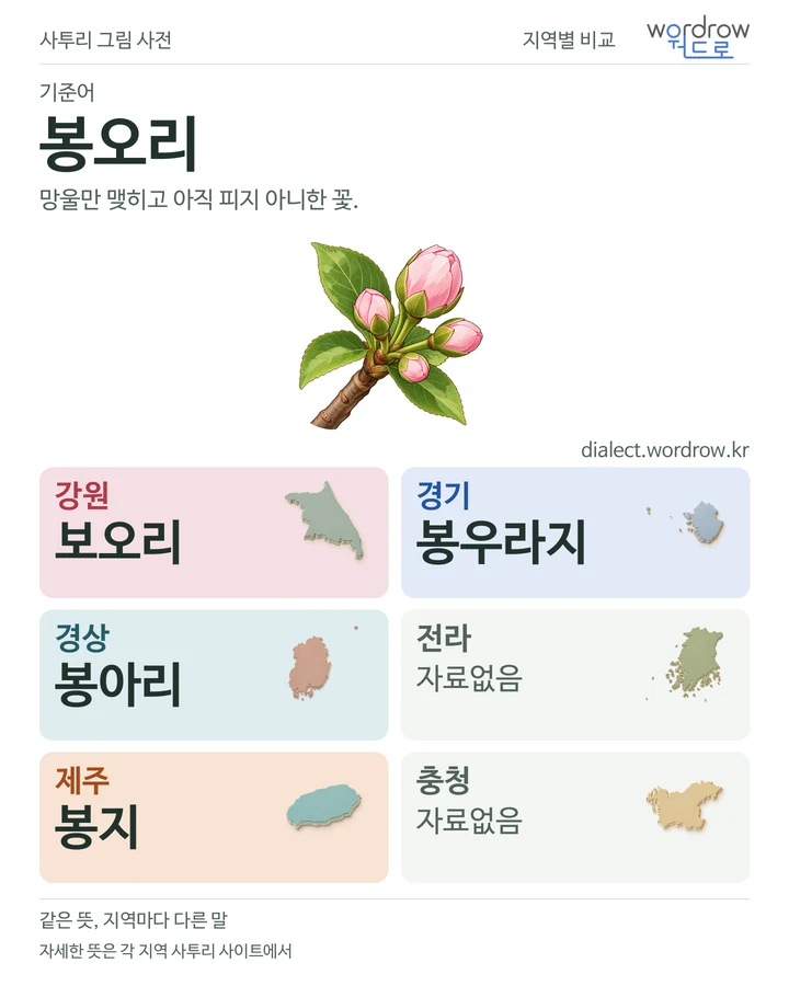 봉오리의 여섯 지역 사투리 비교