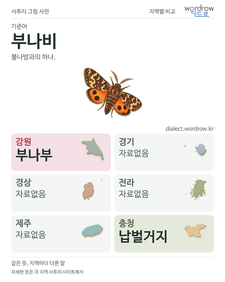 부나비의 여섯 지역 사투리 비교