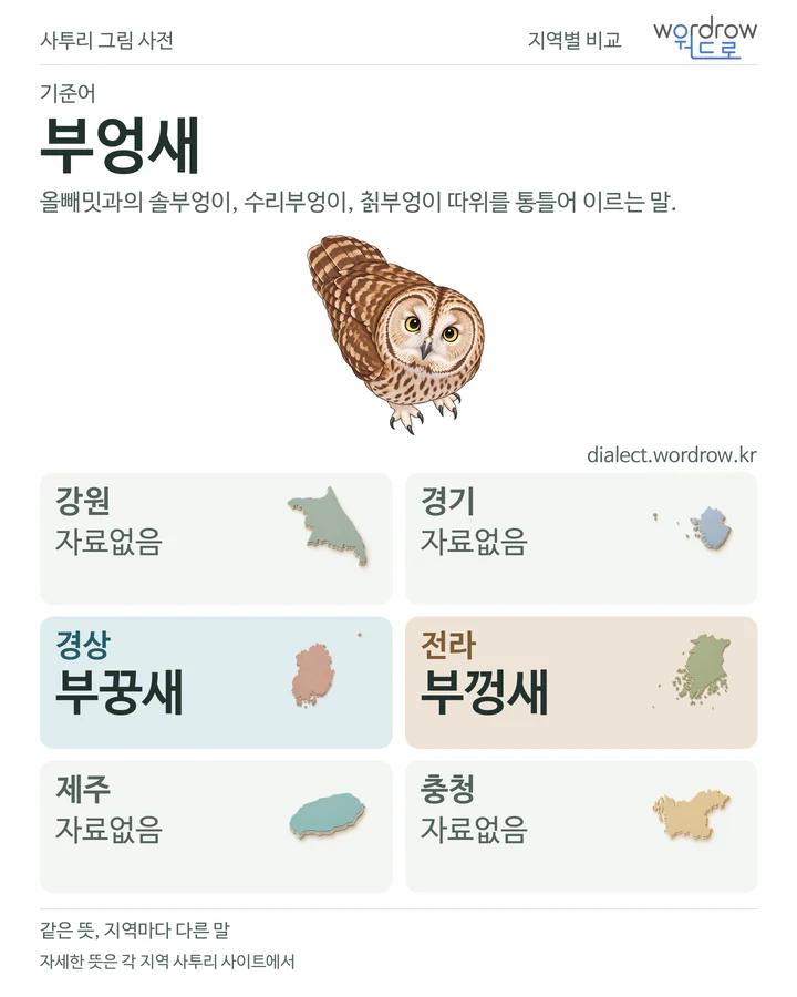 부엉새의 여섯 지역 사투리 비교