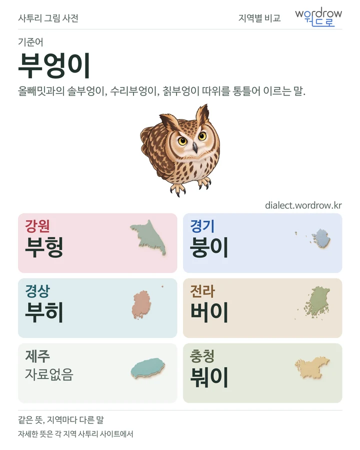 부엉이의 여섯 지역 사투리 비교