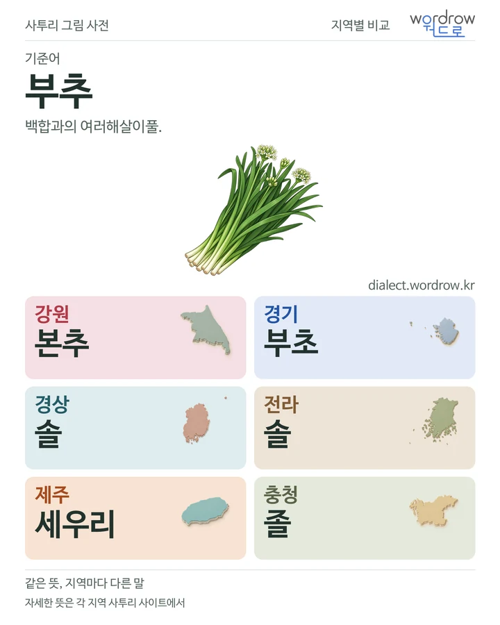 부추의 여섯 지역 사투리 비교