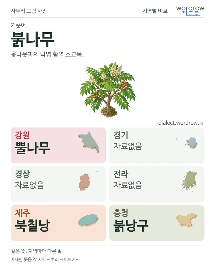 붉나무의 여섯 지역 사투리 비교
