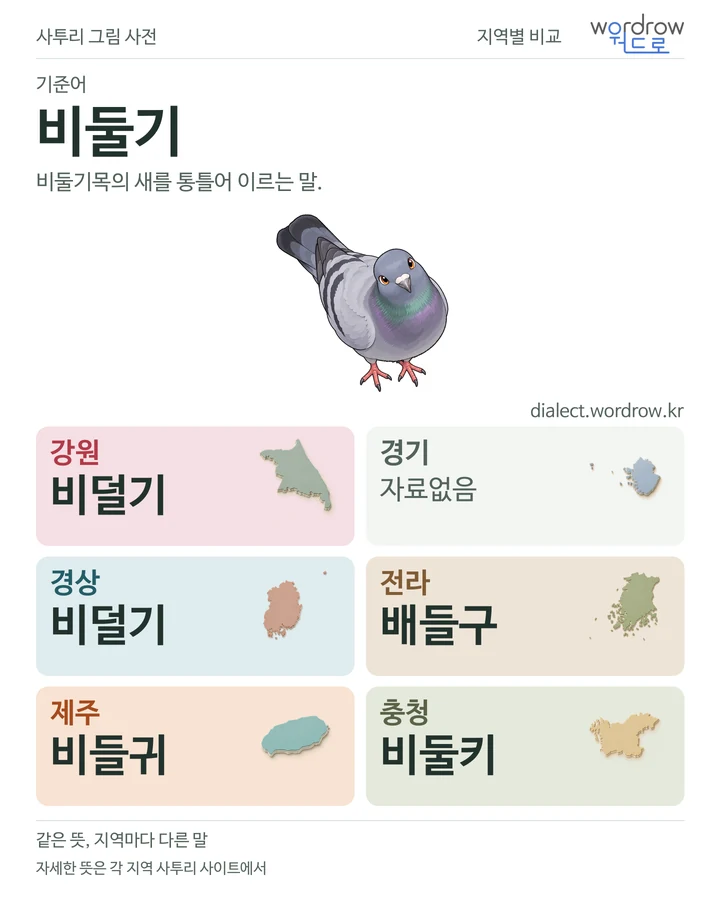 비둘기의 여섯 지역 사투리 비교