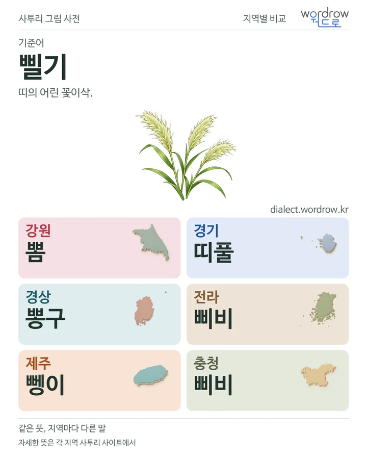 삘기의 여섯 지역 사투리 비교