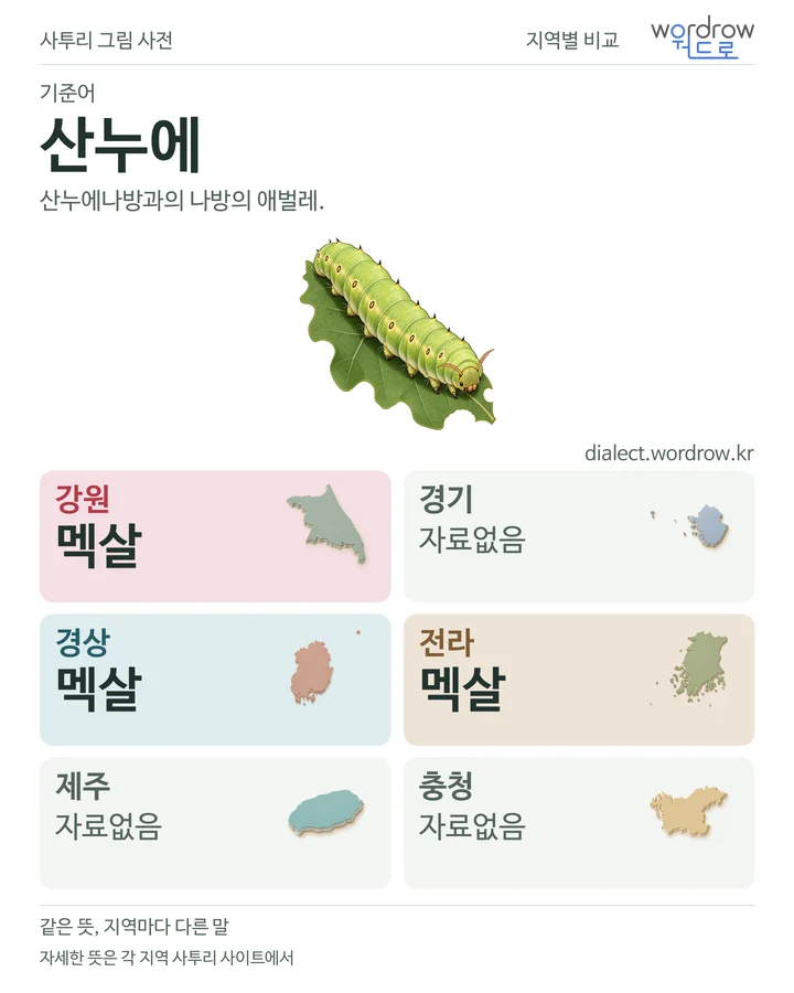 산누에의 여섯 지역 사투리 비교