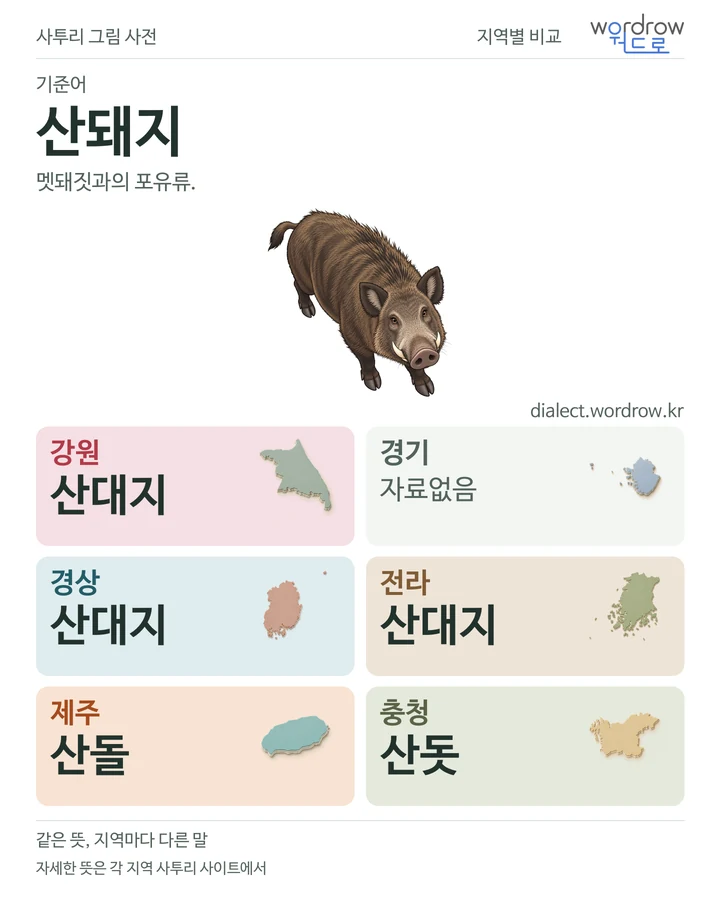 산돼지의 여섯 지역 사투리 비교