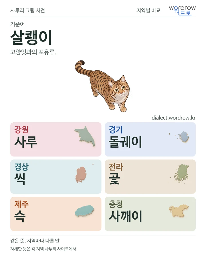 살쾡이의 여섯 지역 사투리 비교