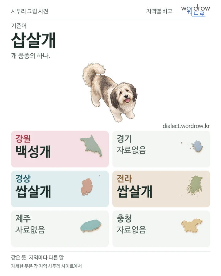 삽살개의 여섯 지역 사투리 비교