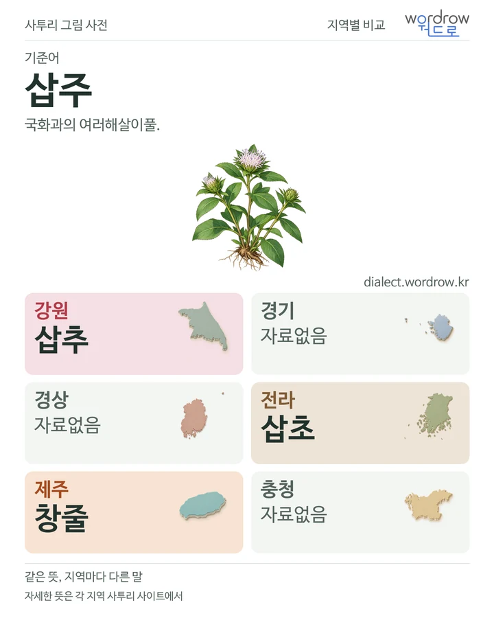 삽주의 여섯 지역 사투리 비교
