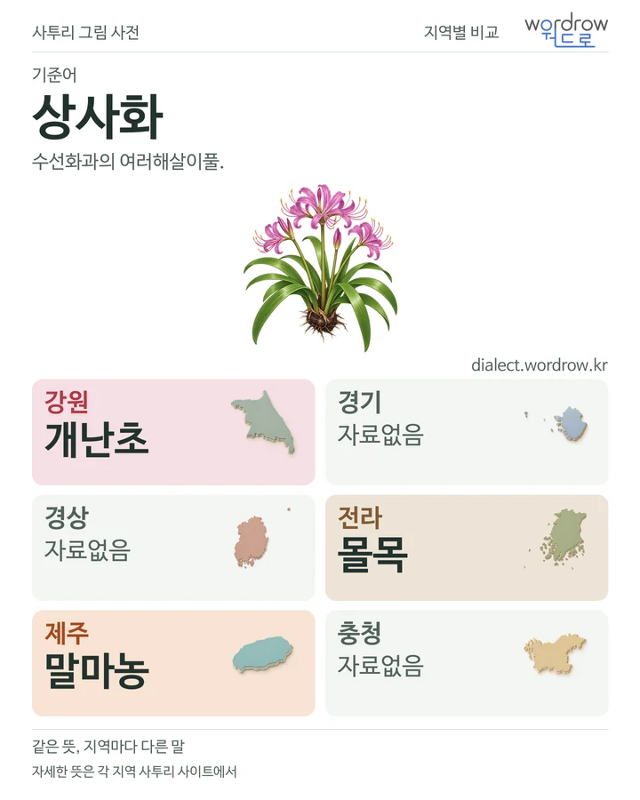 상사화의 여섯 지역 사투리 비교