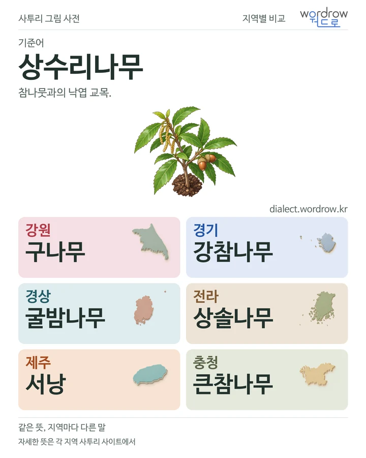 상수리나무의 여섯 지역 사투리 비교