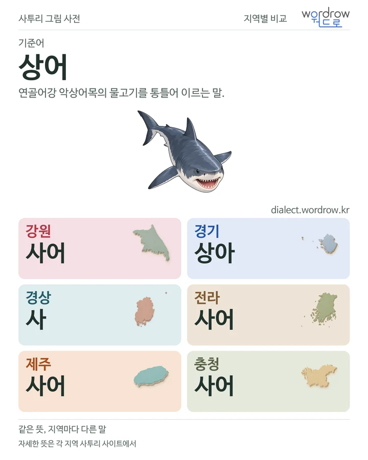상어의 여섯 지역 사투리 비교