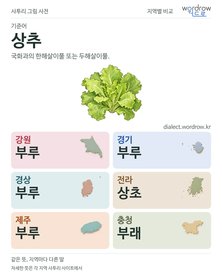 상추의 여섯 지역 사투리 비교