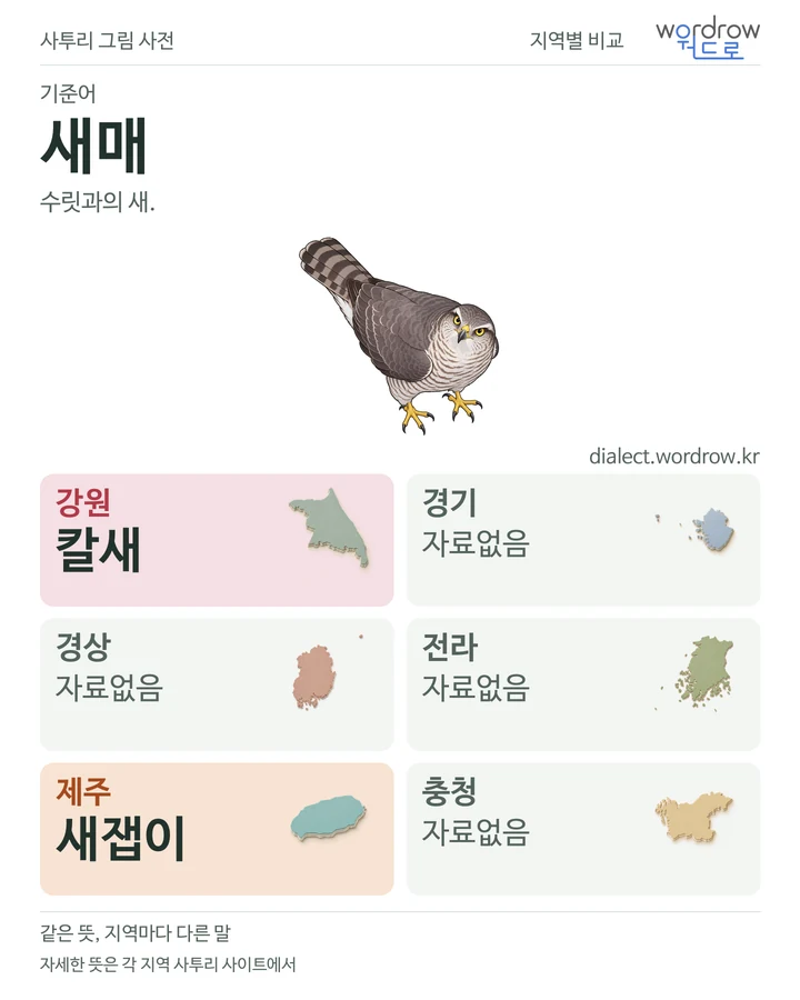 새매의 여섯 지역 사투리 비교