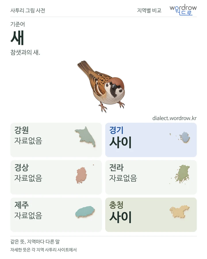 새의 여섯 지역 사투리 비교