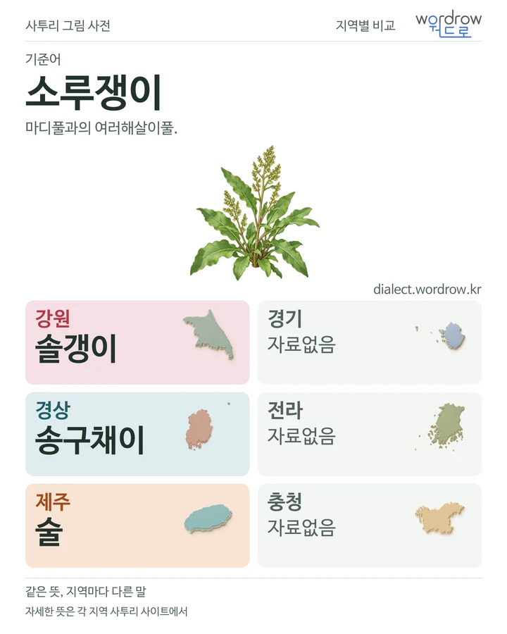 소루쟁이의 여섯 지역 사투리 비교
