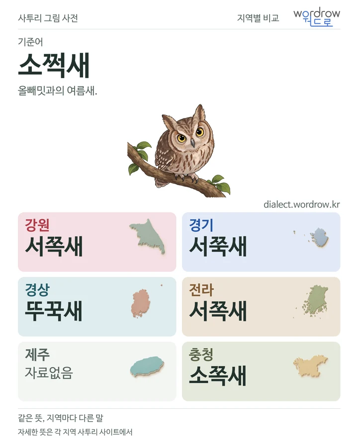 소쩍새의 여섯 지역 사투리 비교