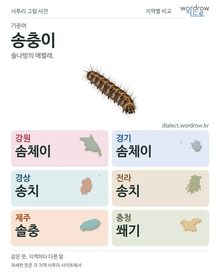 송충이의 여섯 지역 사투리 비교