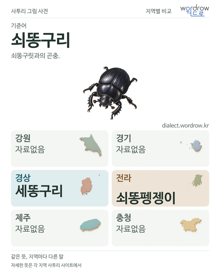 쇠똥구리의 여섯 지역 사투리 비교