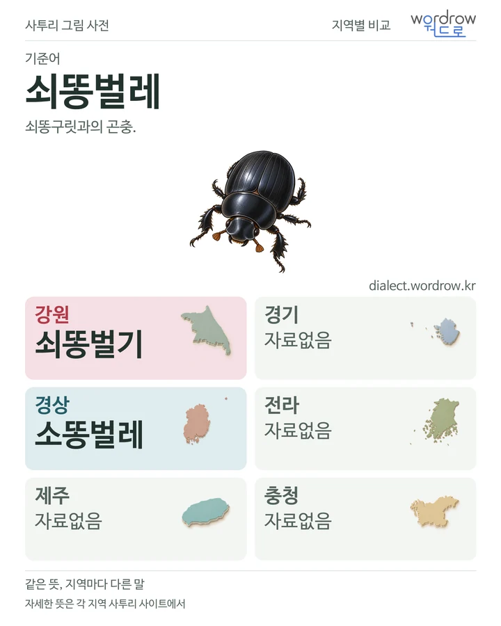 쇠똥벌레의 여섯 지역 사투리 비교
