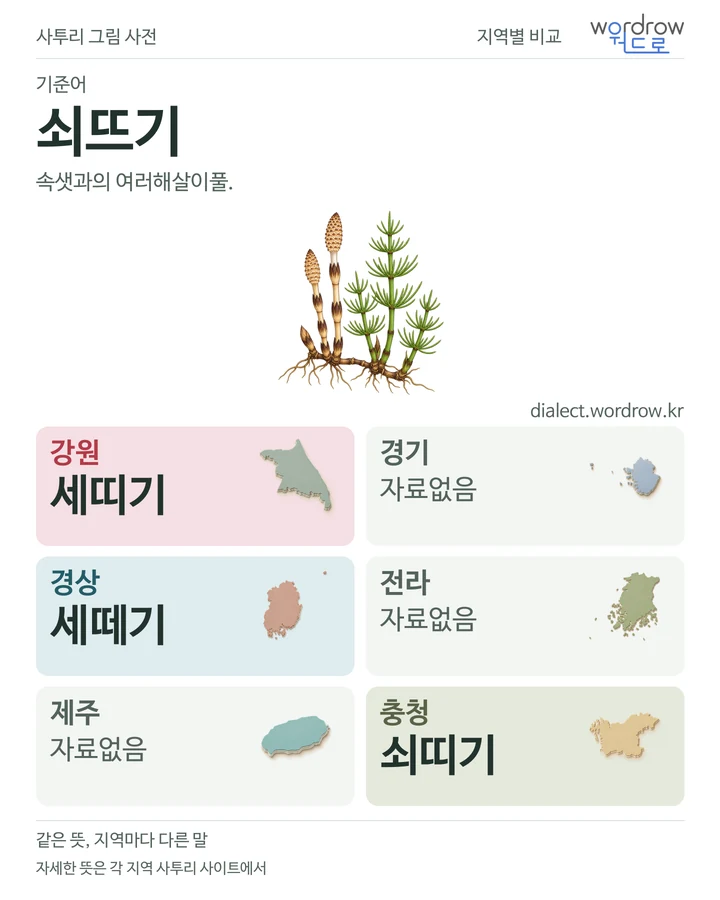 쇠뜨기의 여섯 지역 사투리 비교