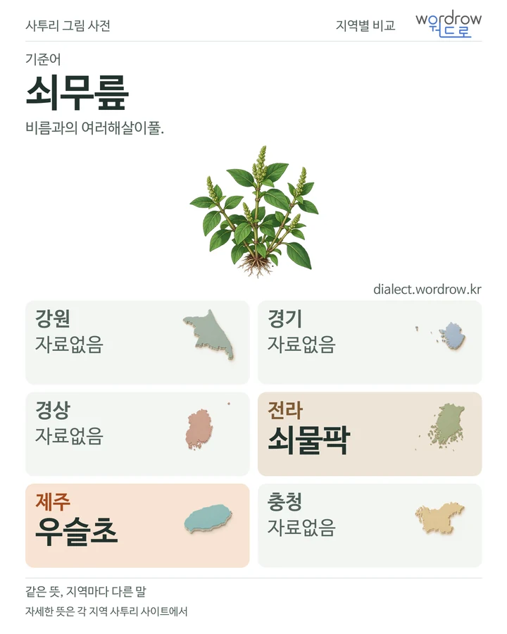 쇠무릎의 여섯 지역 사투리 비교