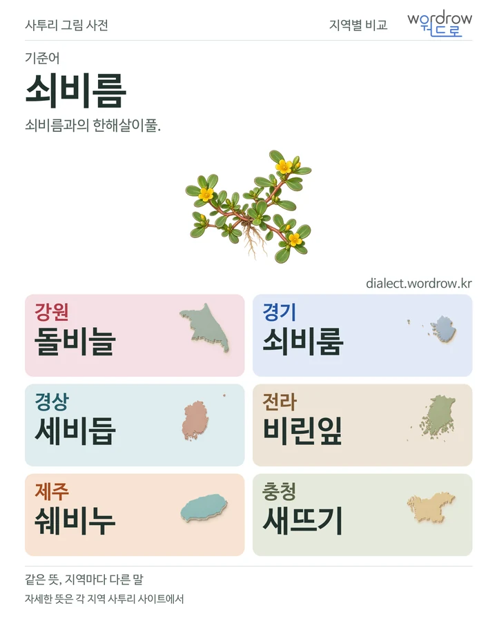 쇠비름의 여섯 지역 사투리 비교