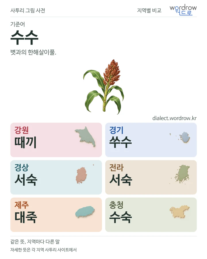 수수의 여섯 지역 사투리 비교