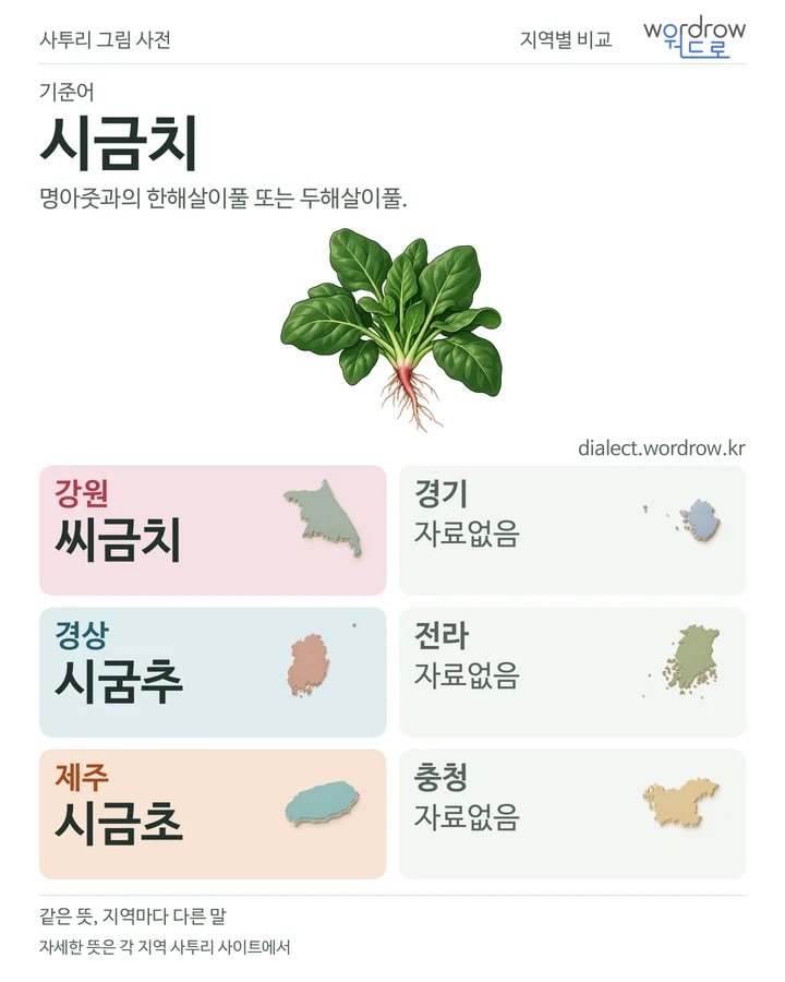 시금치의 여섯 지역 사투리 비교