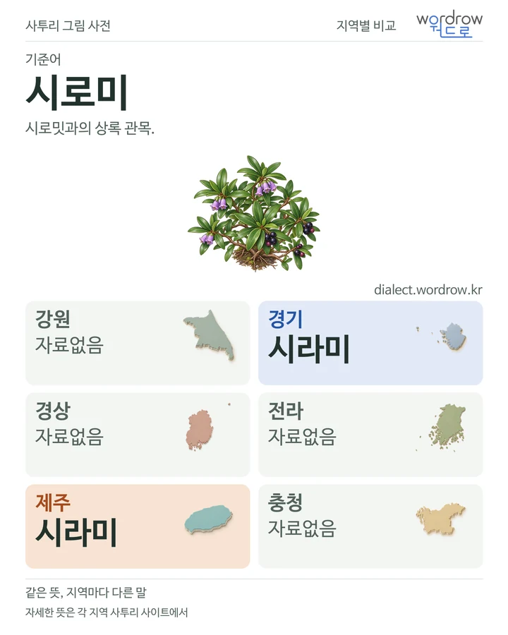 시로미의 여섯 지역 사투리 비교