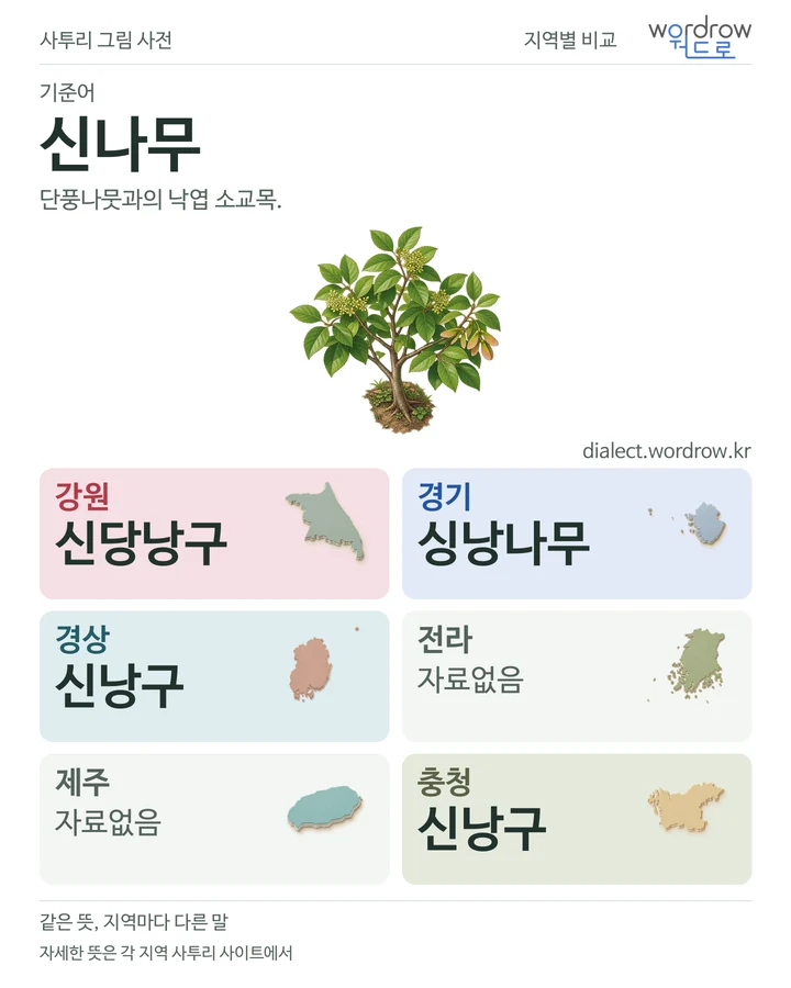 신나무의 여섯 지역 사투리 비교