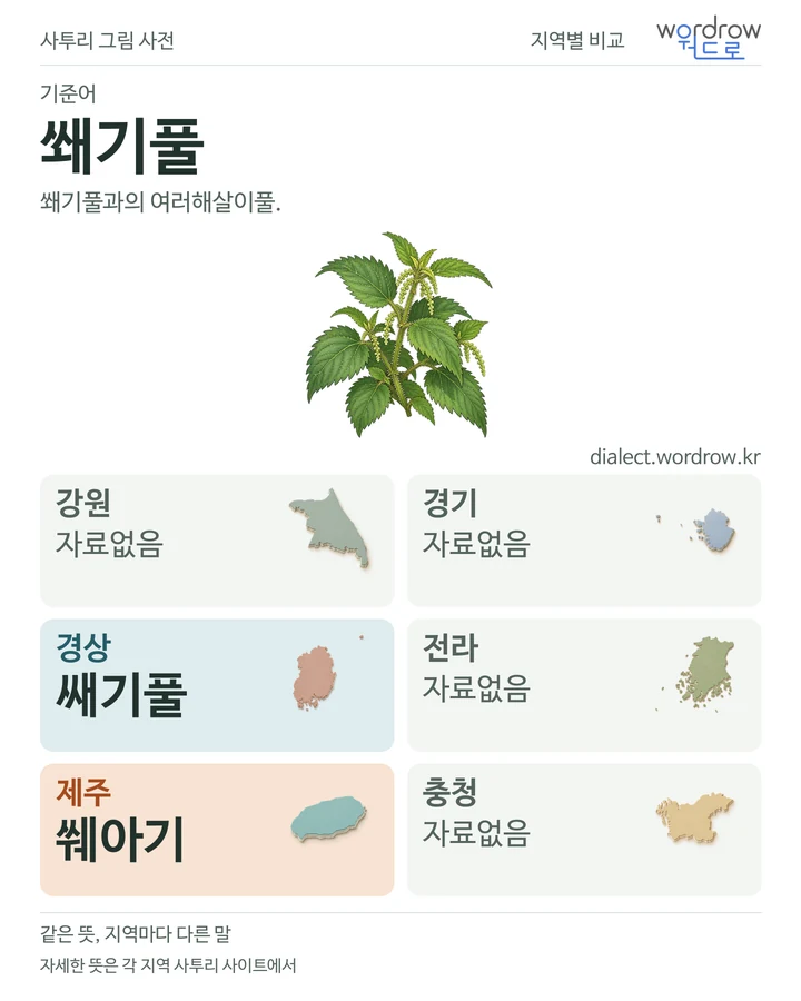 쐐기풀의 여섯 지역 사투리 비교