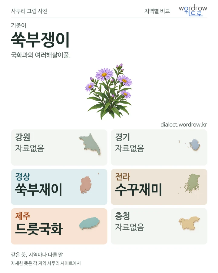 쑥부쟁이의 여섯 지역 사투리 비교