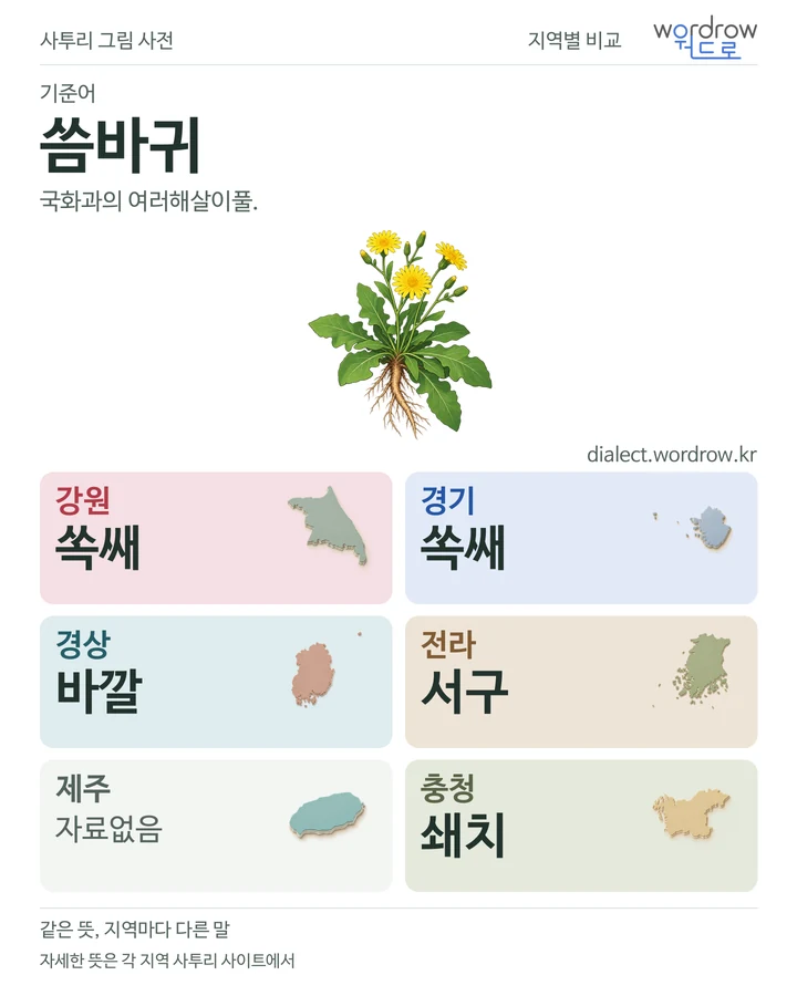 씀바귀의 여섯 지역 사투리 비교