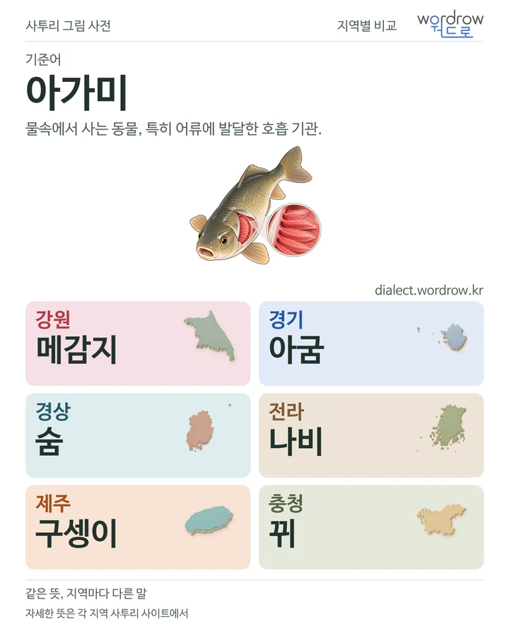 아가미의 여섯 지역 사투리 비교
