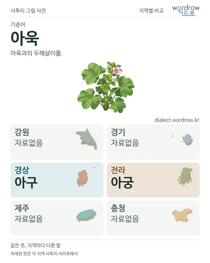 아욱의 여섯 지역 사투리 비교