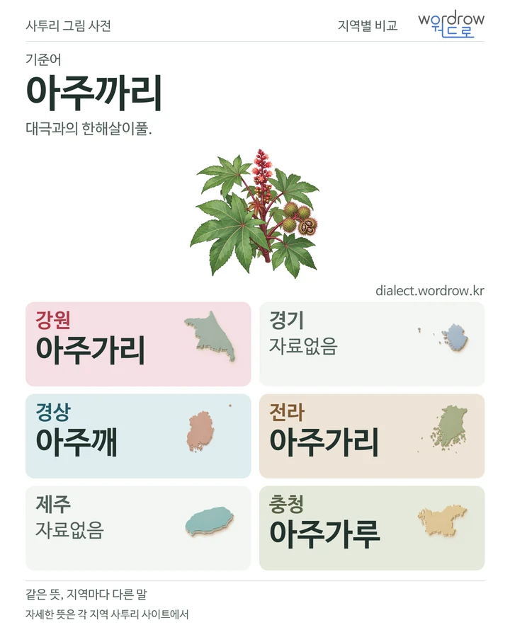 아주까리의 여섯 지역 사투리 비교
